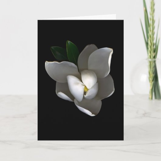 Blumen | Single White Magnolia Blossom Karte (Vorderseite)