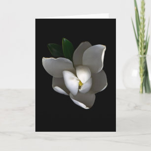 Blumen   Single White Magnolia Blossom Karte