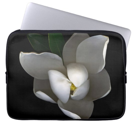Blumen | Single White Magnolia Blossom Laptopschutzhülle (Vorderseite)