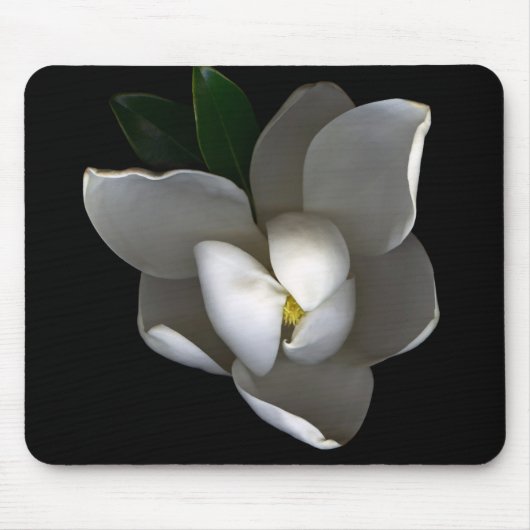 Blumen | Single White Magnolia Blossom Mousepad (Vorne)