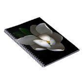Blumen | Single White Magnolia Blossom Notizblock (Rechte Seite)
