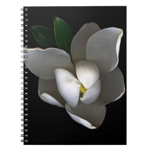Blumen | Single White Magnolia Blossom Notizblock (Vorderseite)