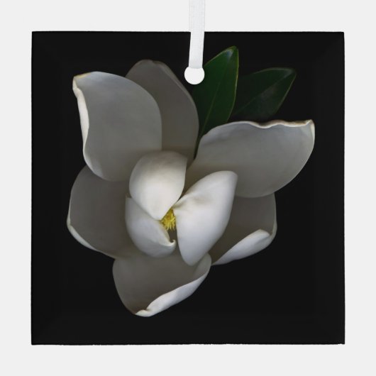 Blumen | Single White Magnolia Blossom Ornament Aus Glas (Rückseite)