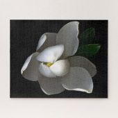 Blumen | Single White Magnolia Blossom Puzzle (Horizontal)