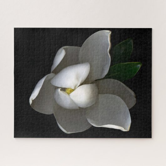 Blumen | Single White Magnolia Blossom Puzzle (Horizontal)