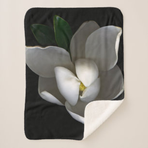 Blumen Single White Magnolia Blossom Sherpadecke