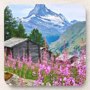 Blumen   Sommermatterhorn Schweiz Getränkeuntersetzer
