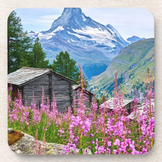 Blumen | Sommermatterhorn Schweiz Getränkeuntersetzer (Vorderseite)