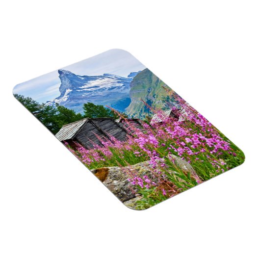 Blumen | Sommermatterhorn Schweiz Magnet (Rechte Seite)