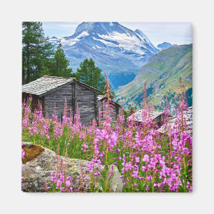 Blumen   Sommermatterhorn Schweiz Magnet