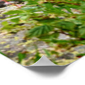 Blumen | Sommermatterhorn Schweiz Poster (Ecke)