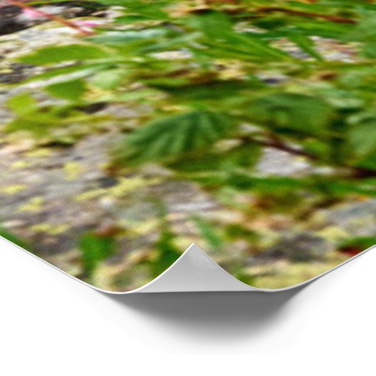 Blumen | Sommermatterhorn Schweiz Poster (Ecke)