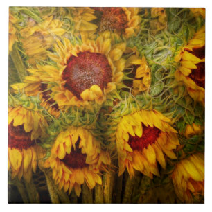 Blumen - Sonnenblumen - Du bist mein einziger Sonn Fliese