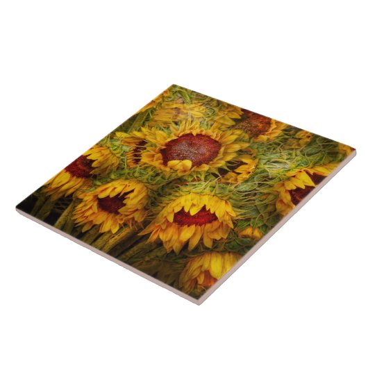 Blumen - Sonnenblumen - Sie sind mein nur Fliese (Seite)