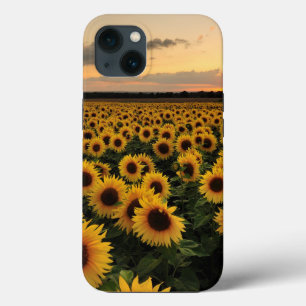 Blumen Sonnenblumenfeld Case-Mate iPhone Hülle