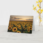 Blumen | Sonnenblumenfeld Karte (Gelbe Blume)