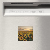Blumen | Sonnenblumenfeld Magnet (In Situ (Geschirrspüler))