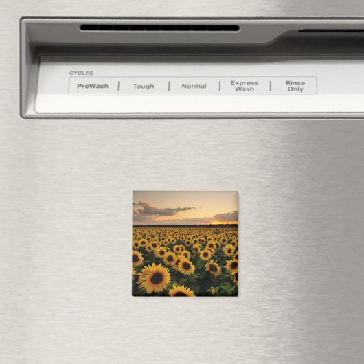 Blumen | Sonnenblumenfeld Magnet (In Situ (Geschirrspüler))
