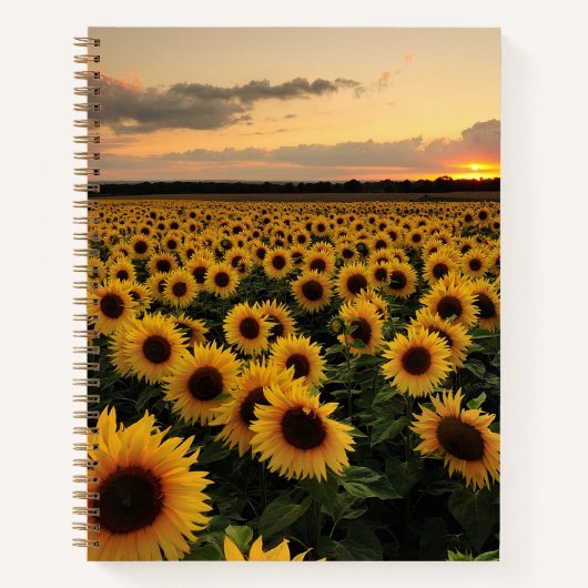 Blumen | Sonnenblumenfeld Notizblock (Vorderseite)