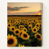 Blumen | Sonnenblumenfeld Notizblock (Rückseite)