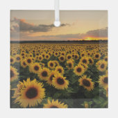 Blumen | Sonnenblumenfeld Ornament Aus Glas (Vorderseite)