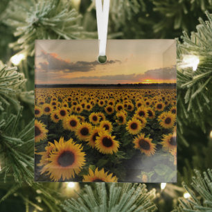 Blumen Sonnenblumenfeld Ornament Aus Glas