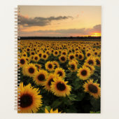 Blumen | Sonnenblumenfeld Planer (Vorderseite)