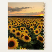 Blumen | Sonnenblumenfeld Planer (Rückseite)