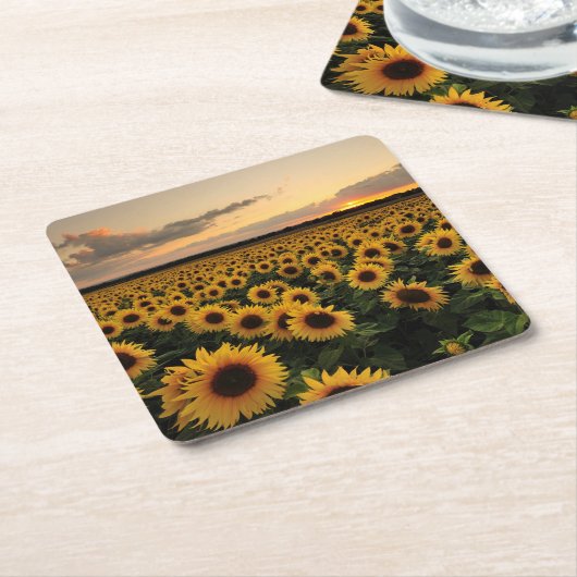 Blumen | Sonnenblumenfeld Rechteckiger Pappuntersetzer (angewinkelt)