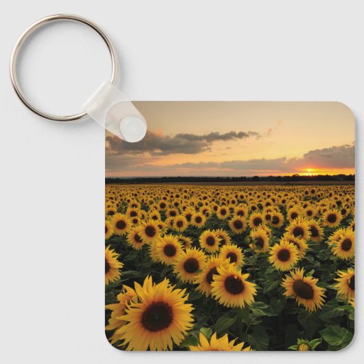Blumen | Sonnenblumenfeld Schlüsselanhänger (Vorderseite)