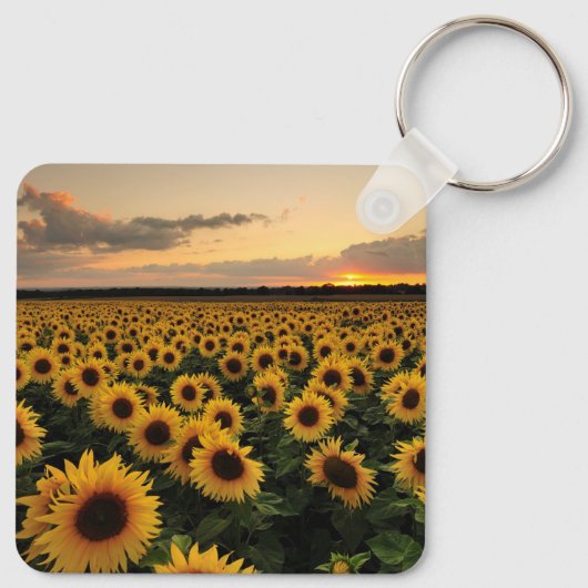 Blumen | Sonnenblumenfeld Schlüsselanhänger (Rückseite)
