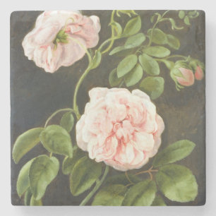 Blumen-Studie 2 Steinuntersetzer