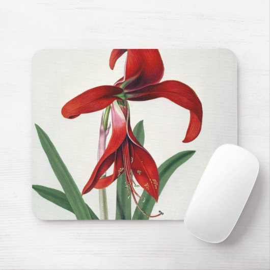 Blumen-Studie, Mousepad (Mit Mouse)