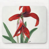 Blumen-Studie, Mousepad (Vorne)