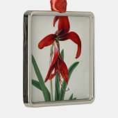 Blumen-Studie, Silbernes Ornament (Rechts)