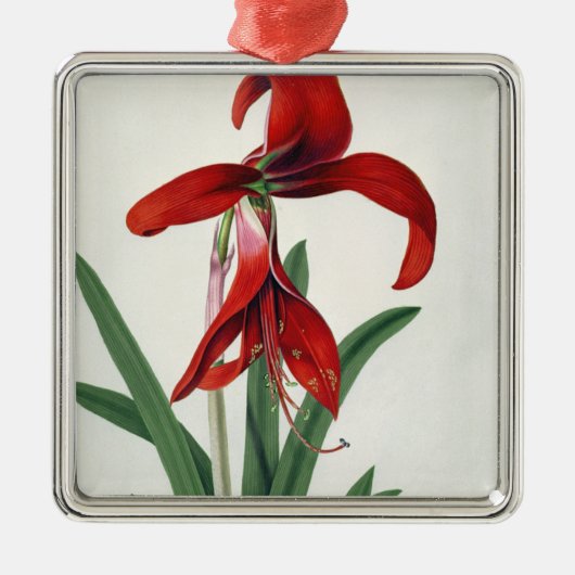 Blumen-Studie, Silbernes Ornament (Vorne)