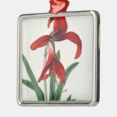 Blumen-Studie, Silbernes Ornament (Links)