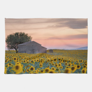Blumen Sunflower Field Provence, Frankreich Geschirrtuch