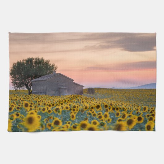 Blumen | Sunflower Field Provence, Frankreich Geschirrtuch (Horizontal)