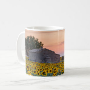 Blumen Sunflower Field Provence, Frankreich Kaffeetasse
