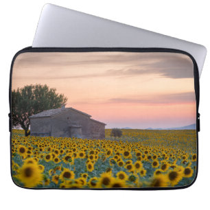 Blumen   Sunflower Field Provence, Frankreich Laptopschutzhülle