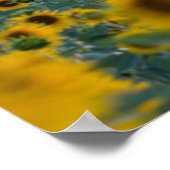 Blumen | Sunflower Field Provence, Frankreich Poster (Ecke)