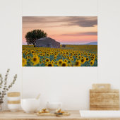 Blumen | Sunflower Field Provence, Frankreich Poster (Küche)