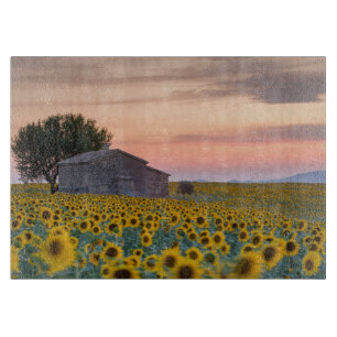 Blumen Sunflower Field Provence, Frankreich Schneidebrett
