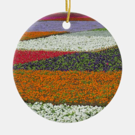 Blumen Teppich Ornament (Vorne)