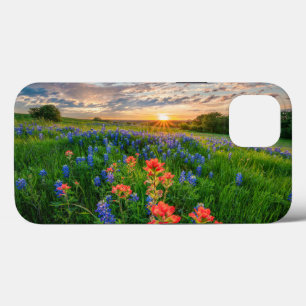 Blumen Texas Bluebonnets & Indian Paintbrush Case-Mate iPhone Hülle
