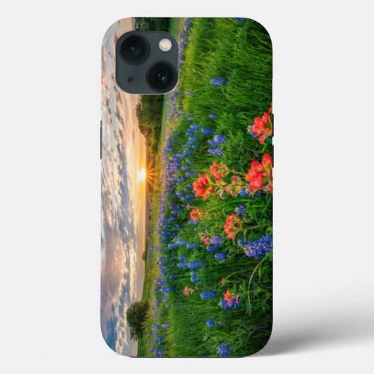 Blumen | Texas Bluebonnets & Indian Paintbrush Case-Mate iPhone Hülle (Rückseite)