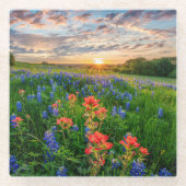 Blumen | Texas Bluebonnets & Indian Paintbrush Glasuntersetzer (Vorderseite)