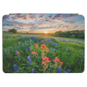 Blumen   Texas Bluebonnets & Indian Paintbrush iPad Air Hülle