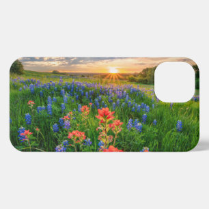 Blumen Texas Bluebonnets & Indian Paintbrush iPhone 13 Hülle